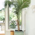 Esplendida וילה אדחה